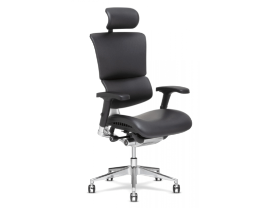 X Chair X4 Leather Ergonomic Office Chair