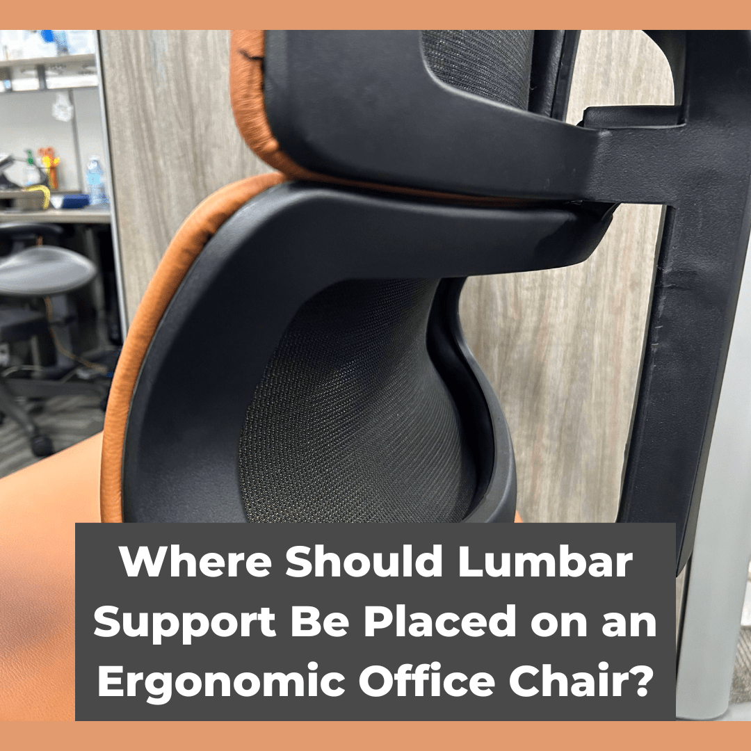 Where Should Lumbar Support Be Placed on an Ergonomic Office Chair?